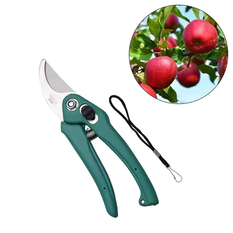 Garden Shears Pruners Scissor for Cutting Branches, Flowers, Leaves, Pruning Seeds ( default, Standard ).
