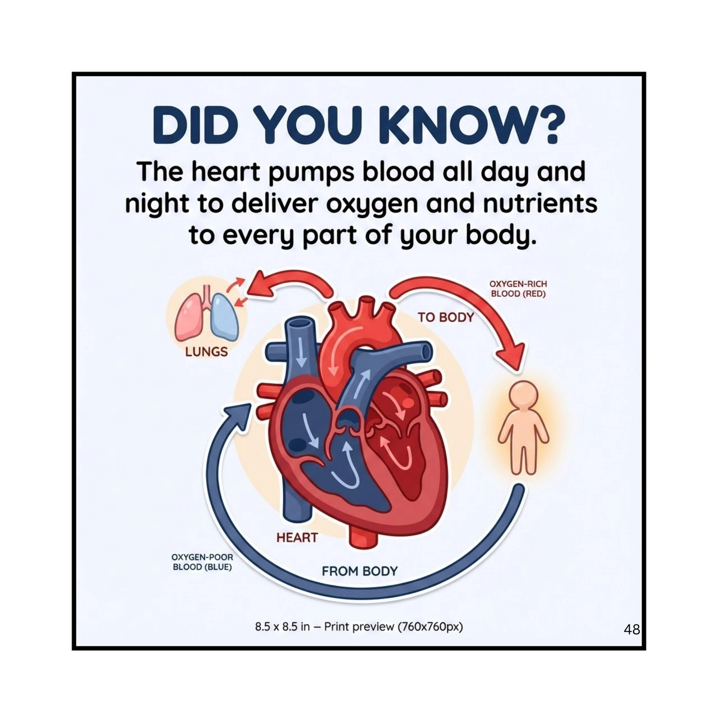 Fun Science Facts for Kids: Animals, Space & the Human Body : Did You Know Facts for Curious Kids: Educational Facts About Animals, Space, and the Human Body for Ages 8-12