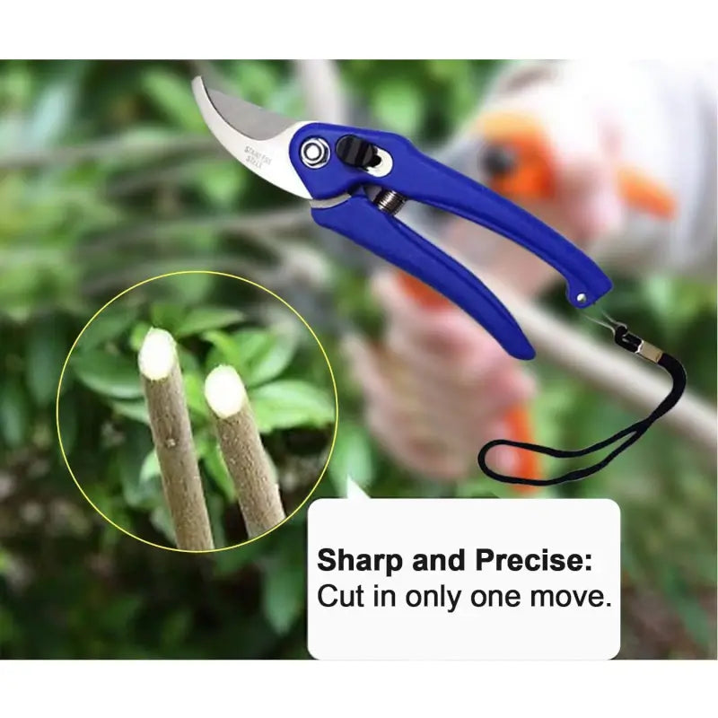 Garden Shears Pruners Scissor for Cutting Branches, Flowers, Leaves, Pruning Seeds ( default, Standard ).