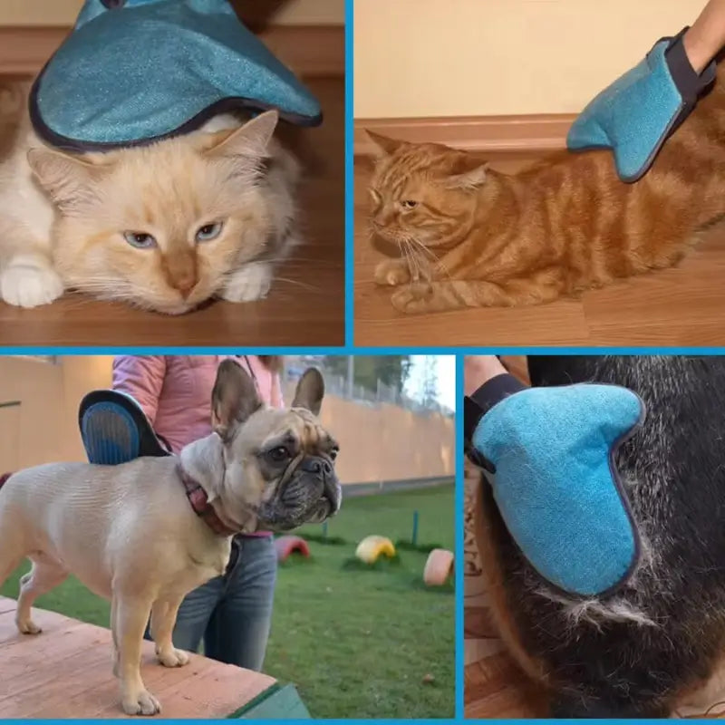 Pet Grooming Glove  Humanized Descending Brush Glove (1 Pc) ( default, Standard ).